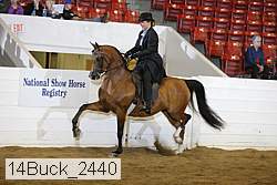 14buck_2440 proof