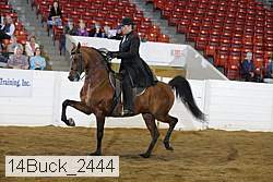14buck_2444 proof