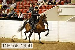 14buck_2450 proof