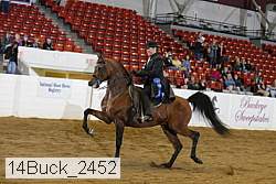 14buck_2452 proof