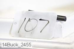 14buck_2455 proof