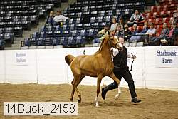 14buck_2458 proof