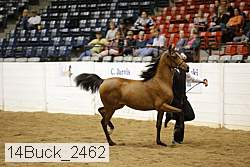 14buck_2462 proof
