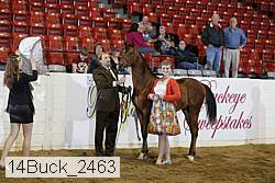 14buck_2463 proof