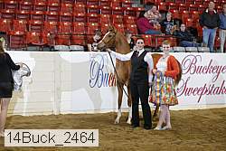 14buck_2464 proof