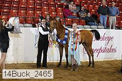14buck_2465 proof
