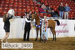 14buck_2466 proof