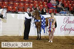 14buck_2467 proof
