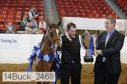 14buck_2468 proof