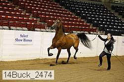 14buck_2474 proof