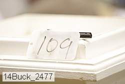 14buck_2477 proof