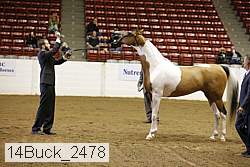 14buck_2478 proof