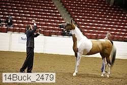 14buck_2479 proof