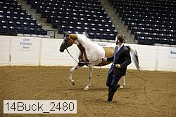 14buck_2480 proof