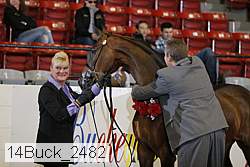 14buck_2482 proof