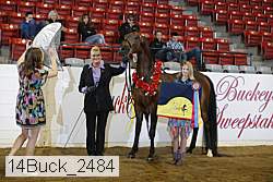 14buck_2484 proof
