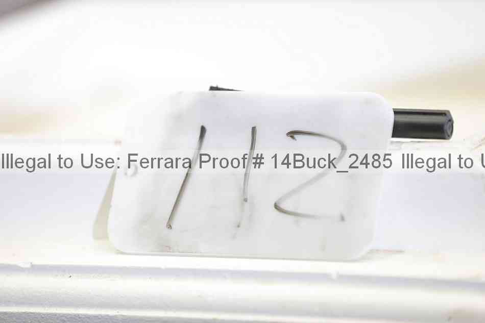 Proof 14buck_2485