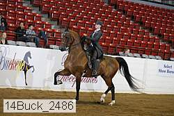 14buck_2486 proof