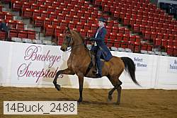 14buck_2488 proof