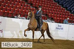14buck_2490 proof