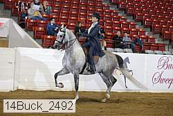 14buck_2492 proof
