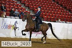 14buck_2493 proof