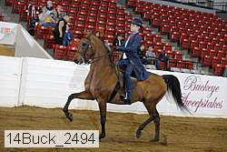 14buck_2494 proof