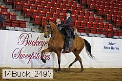 14buck_2495 proof