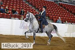14buck_2497 proof