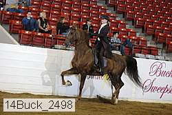 14buck_2498 proof