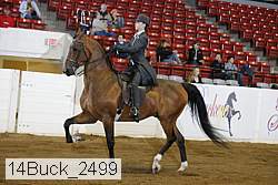 14buck_2499 proof