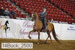 14buck_2500 proof