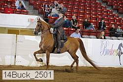 14buck_2501 proof