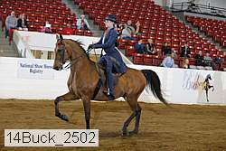 14buck_2502 proof