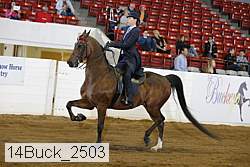 14buck_2503 proof