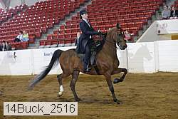 14buck_2516 proof