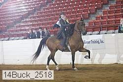14buck_2518 proof
