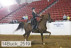 14buck_2519 proof