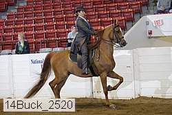 14buck_2520 proof
