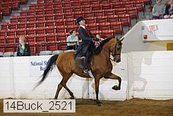 14buck_2521 proof