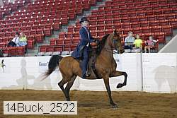 14buck_2522 proof