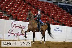 14buck_2523 proof
