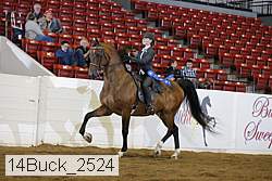 14buck_2524 proof