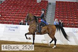 14buck_2526 proof