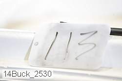 14buck_2530 proof