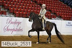 14buck_2531 proof