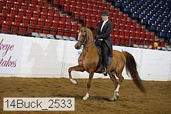 14buck_2533 proof
