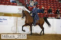 14buck_2535 proof