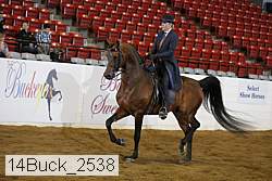 14buck_2538 proof