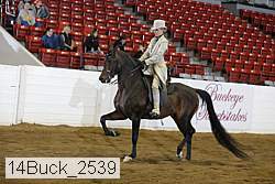 14buck_2539 proof